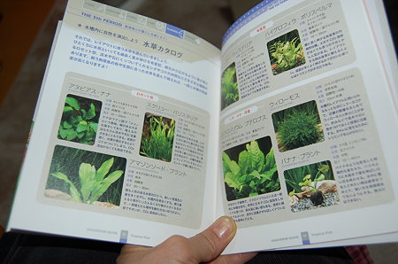 熱帯魚