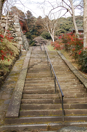 菩提山正暦寺