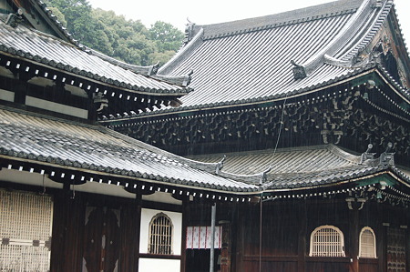 2010年10月31日_DSC_0142