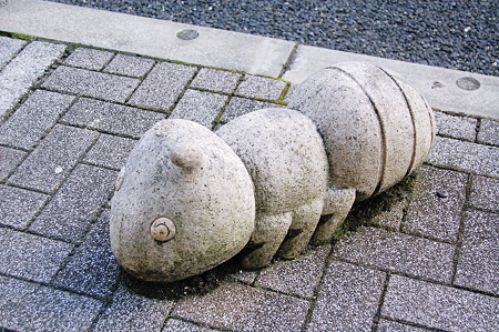 2011年01月10日_DSC_0229