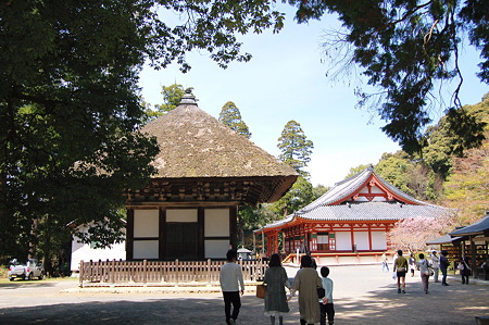 2011年04月17日_DSC_0070