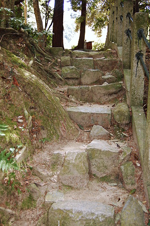 2011年04月17日_DSC_0107