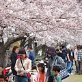 Photos: 20110410_121552