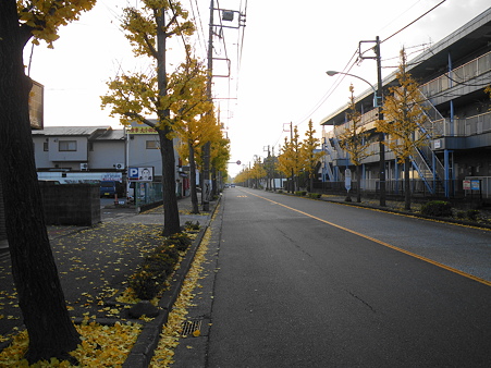 091126 鶴川いちょう通り