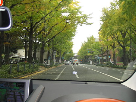 DSC01247