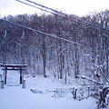 Photos: 雪景色