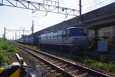 IMGP6234