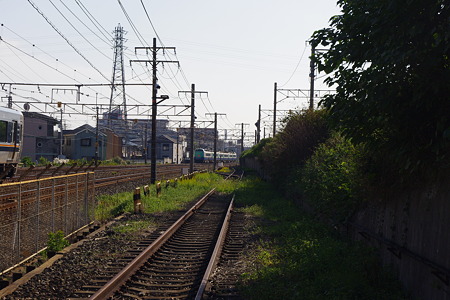 IMGP6257