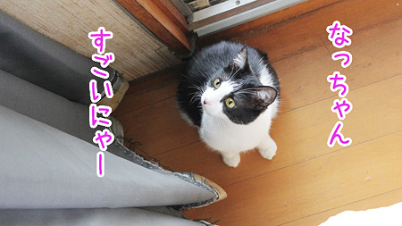 すごい