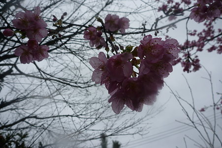 P1010468