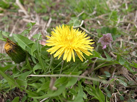 R0010089