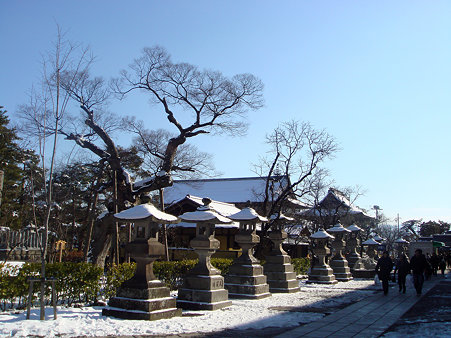 DSC09967のコピー