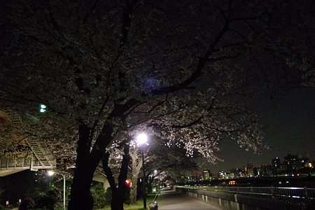 K_5_0449-2