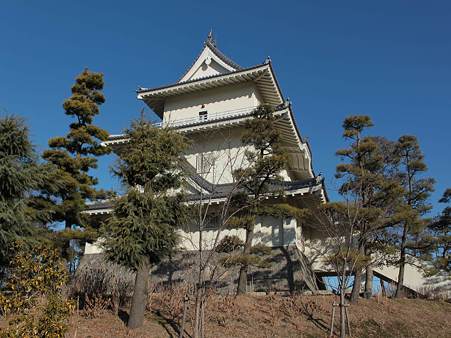 IMG_1718_R