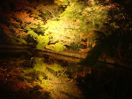 紅葉３