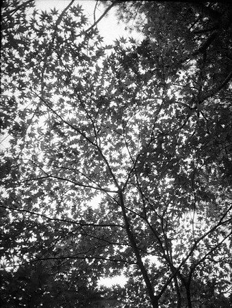 Image1024(OLYMPUS PEN)