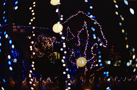 Image1088(CANON EOS 7)