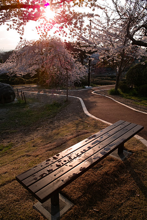 SDIM0902