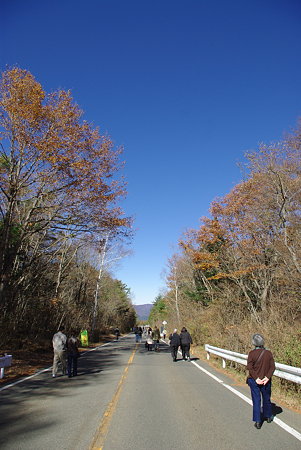 IMGP8875