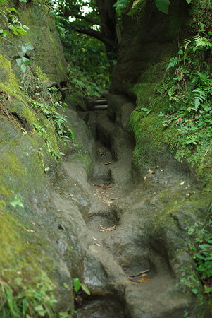 IMGP9371