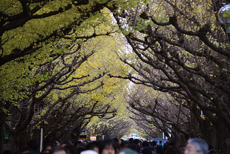 IMGP0167