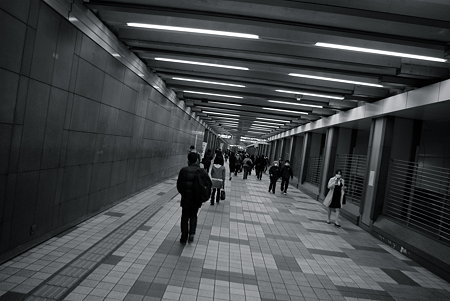 IMGP0415