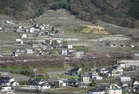 DSCN1731