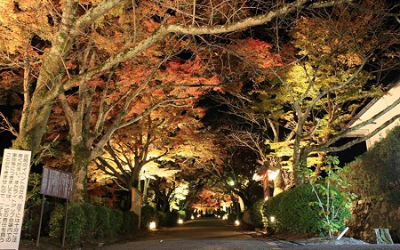 西教寺21
