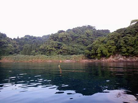 DSC04651
