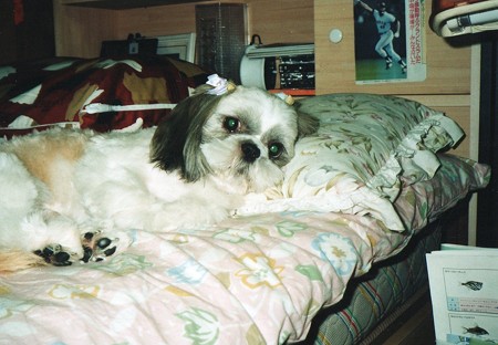 17