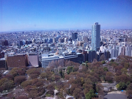 都庁から西方向を望む