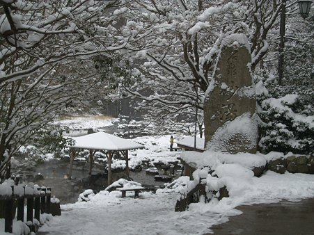 雪の中国 086