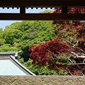 Photos: 海蔵寺