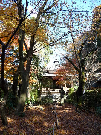 091204-明月院 (58)