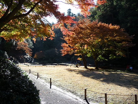 091204-明月院庭園 (2)