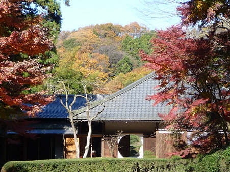 091204-明月院庭園 (5)