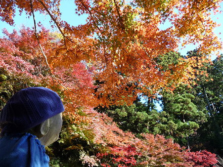 091204-明月院庭園 (80)