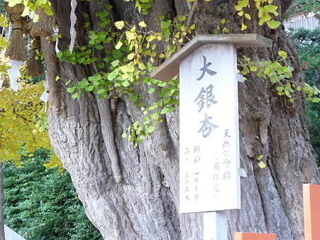 091204-八幡さま (7)