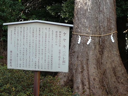 100120-日枝社 (3)