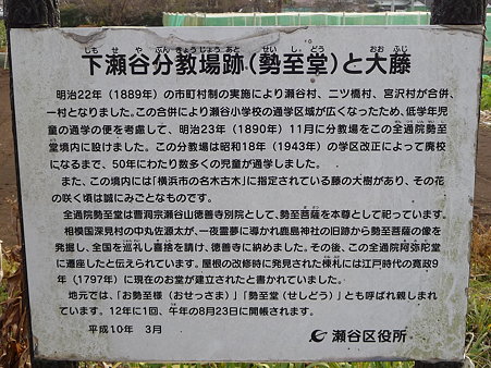 100120-8.全通院勢至堂 (3)