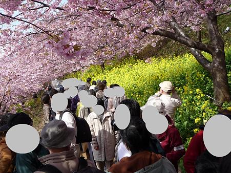 100223-松田山 河津桜 (32)