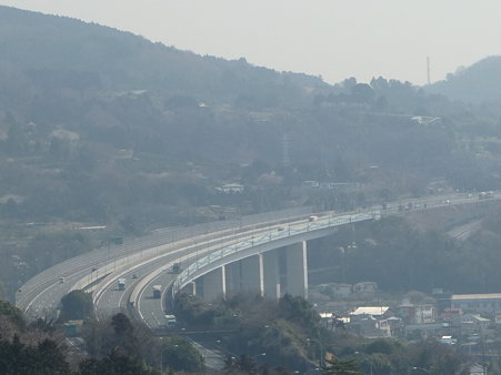100223-松田山 河津桜 (56)