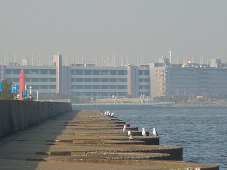 100224-本牧海釣り桟橋 (12)