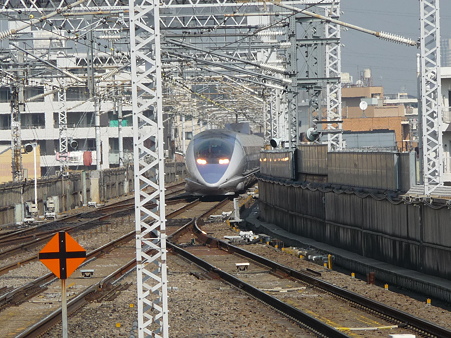 100224-新幹線 新横500下り 到着 (4)