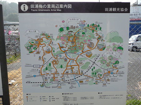 100301-田浦梅林