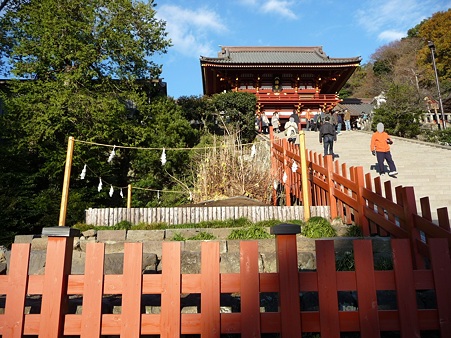 101210-八幡さま (6)