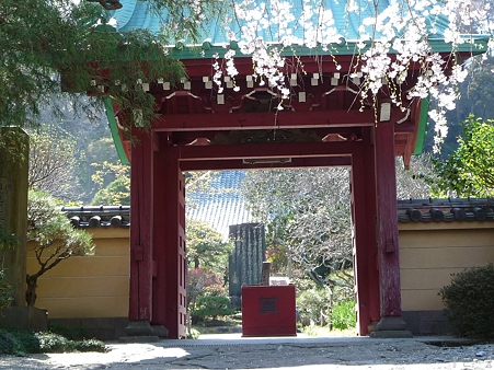 110406-光則寺 (8)