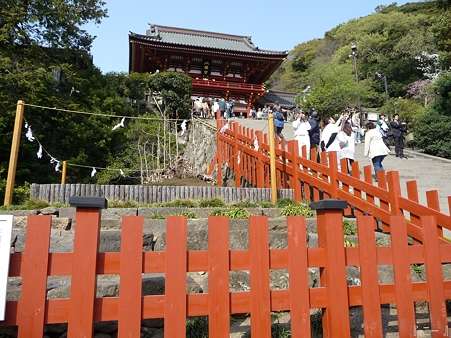 110411-八幡さま (5)