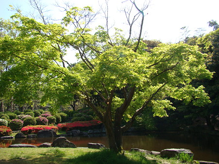 2010-4-29 万博公園