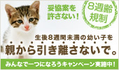 8syu_b_side_M3